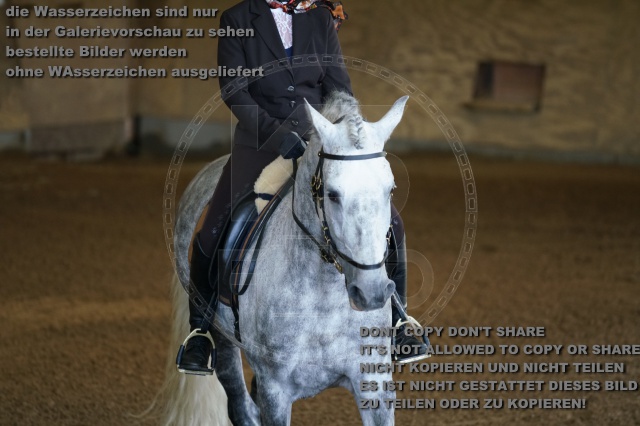 s_K3F03173.JPG